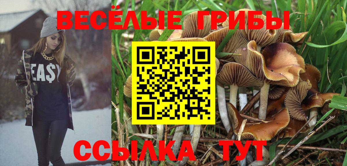 цены наркотик  Псилоцибиновые грибы GOLDEN TEACHER  Псилоцибиновые грибы Cubensis  Вход с VPN  Амурск 