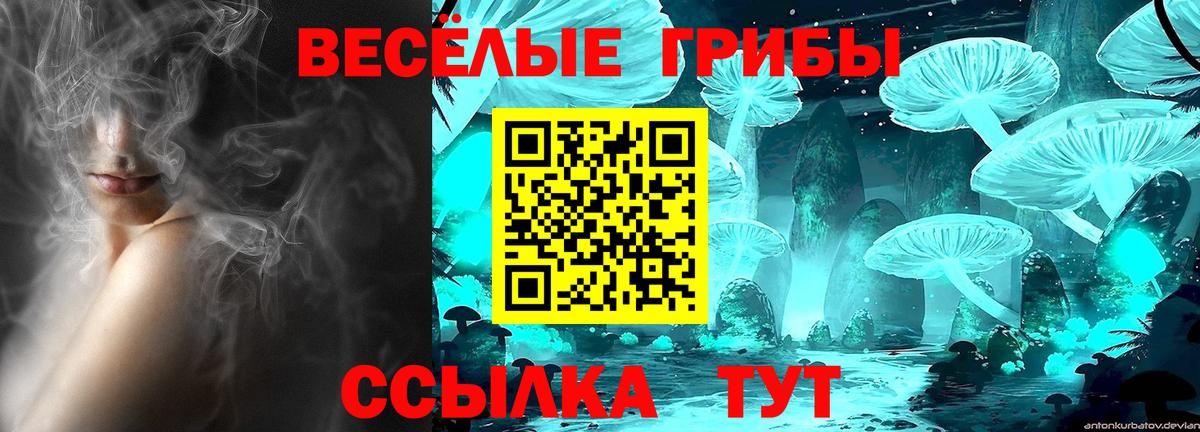 Псилоцибиновые грибы прущие грибы Амурск